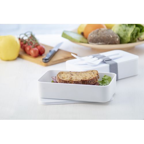 Lunch Box Antibactérien Ayam - 4