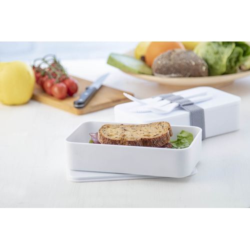 Lunch Box Antibactérien Ayam - 3