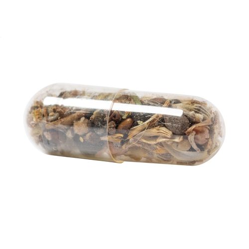 Flower Seed Capsule Flocca Flower Seed Capsule Flocca