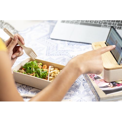 Lunch Box Laksa - 6