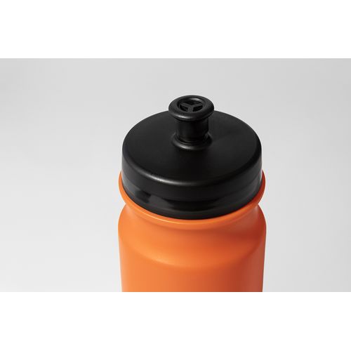 Trinkflasche Palmares