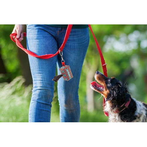 Distributeur Sur Mesure De Sachets Pour Chiens Rpet. Pavesave - 6