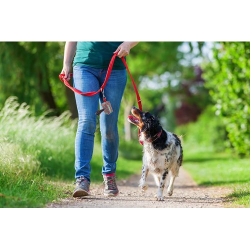 Distributeur Sur Mesure De Sachets Pour Chiens Rpet. Pavesave - 7