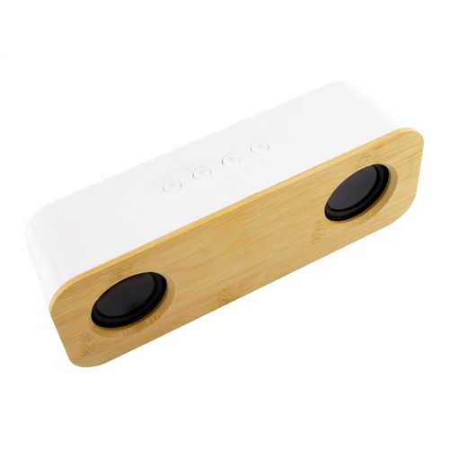 Haut-Parleur Sans Fil Herkool - 4