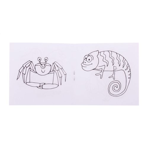 Set de coloriage personnalisé, animaux Coloxil 12 - 3