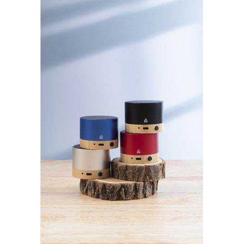 Haut-Parleur Sans Fil Raloobeat - 4