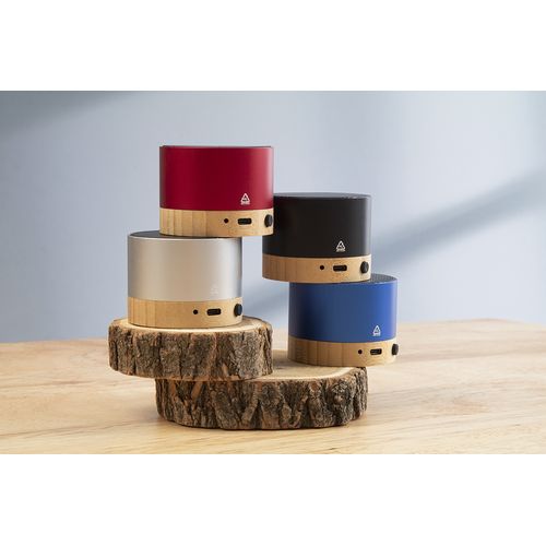 Haut-Parleur Sans Fil Raloobeat - 5