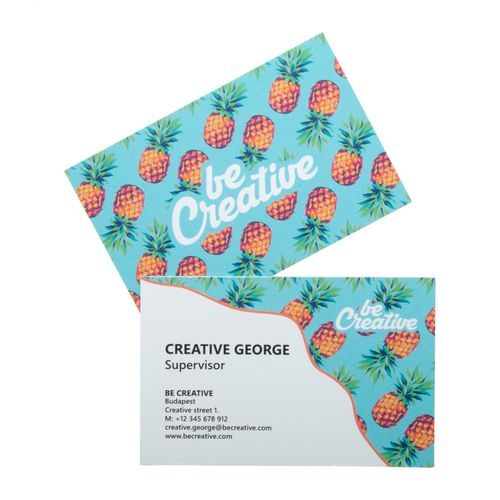 Cartes De Visite Visicard - 2