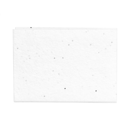 Seed Paper Sticky Notepad Semilla Seed Paper Sticky Notepad Semilla