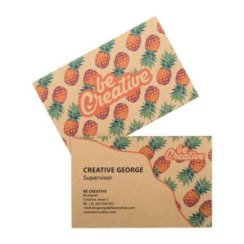 Cartes De Visite Visicard Eco - 2