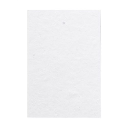 Custom Sticky Notepad CreaStick Seed Combo A Custom Sticky Notepad CreaStick Seed Combo A