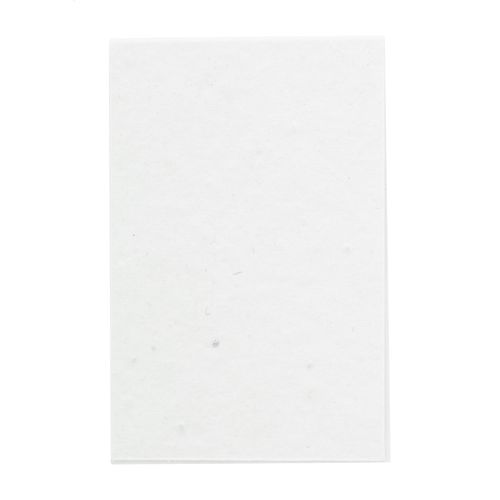 Bloc-Notes CreaStick Seed Combo B - 4