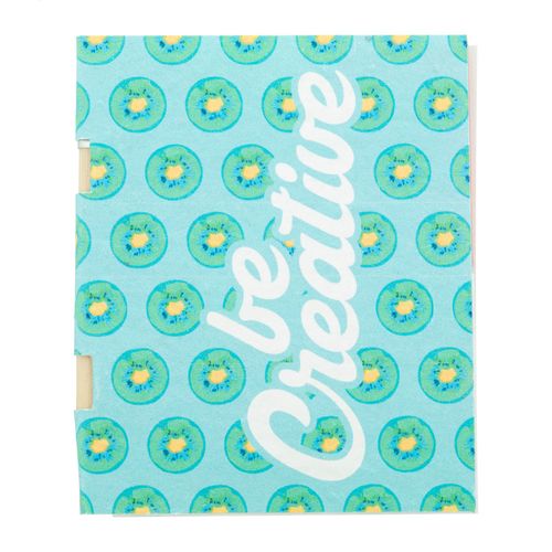 Bloc-Notes CreaStick Seed Combo Plus - 2