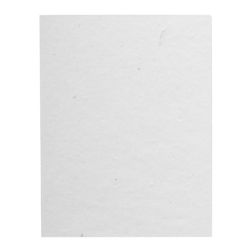 Bloc-Notes Creastick Seed Note L - 3