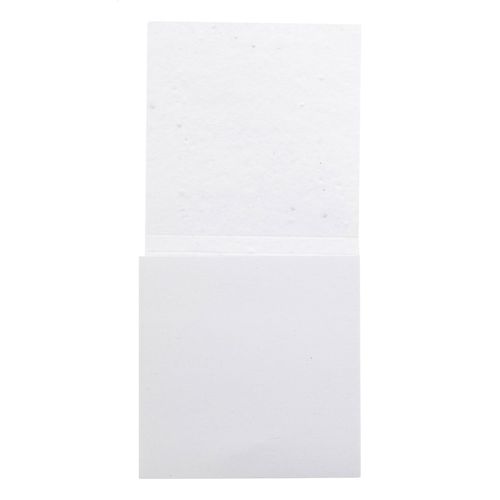 Bloc-Notes CreaStick Seed Note M - 3
