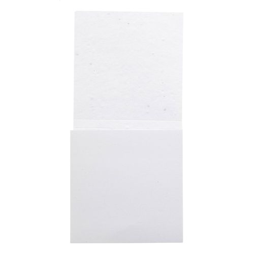 Bloc-Notes Creastick Seed Note M - 2