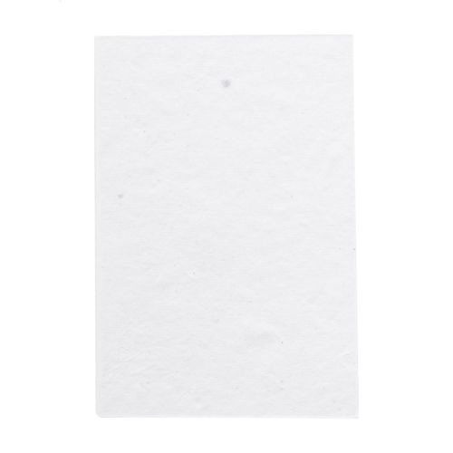 Bloc-Notes CreaStick Seed Note S - 3
