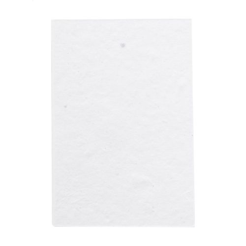 Bloc-Notes Creastick Seed Note S thumbnail 4