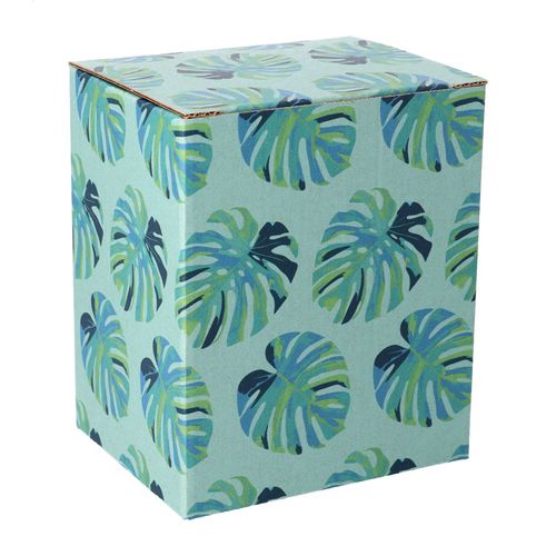 varios envases