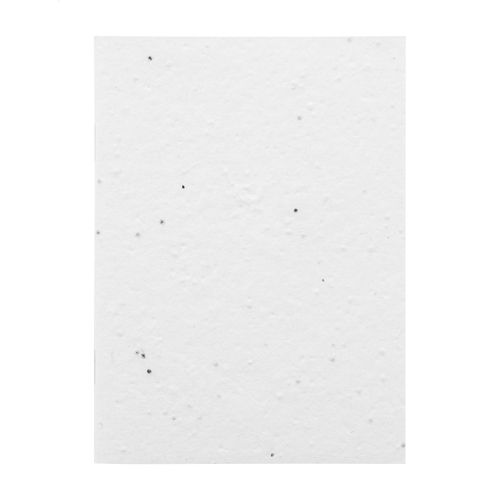 Carnet De Notes Personnalisé En Papier Ensemencé CreaNote A6 Seed - 4