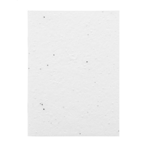 Carnet De Notes Personnalisé En Papier Ensemencé Creanote A6 Seed - 3