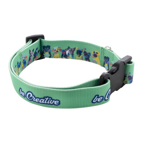 Collier Pour Chien Ziggy - 1