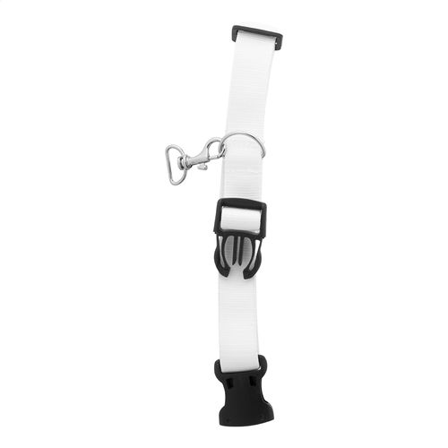 Collier Pour Chien Ziggy - 2