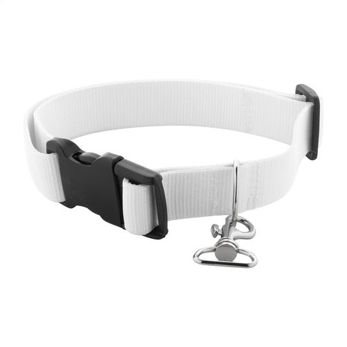 Collier Pour Chien Ziggy - 4