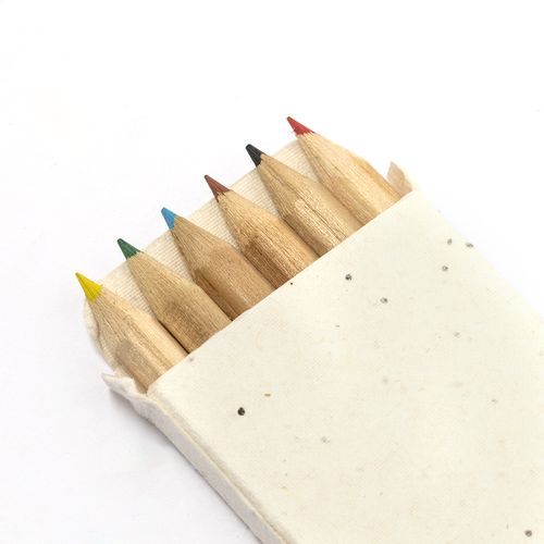 Set De Crayons Sedox - 5