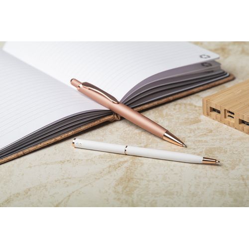 Stylo Bille Recepto - 5