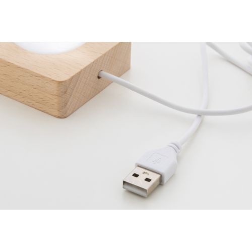 Christmas Light Globe Borealis Christmas Light Globe Borealis