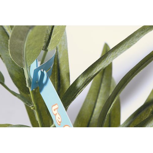 Étiquettes Pour Plantes Planttag - 6