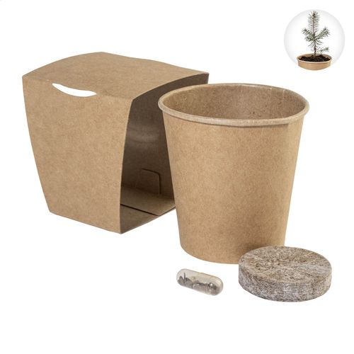 Set De Culture Pour Sapin De Noël MerryGrow - 7