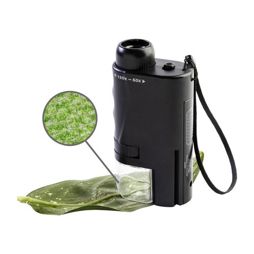 Microscope De Poche MiniPeek - 2