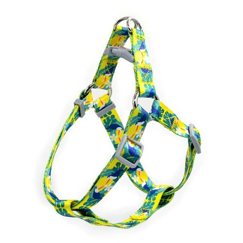 Accesoires pour animaux de compagnie - 4