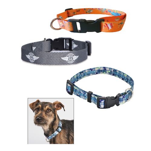 Accesoires pour animaux de compagnie - 3