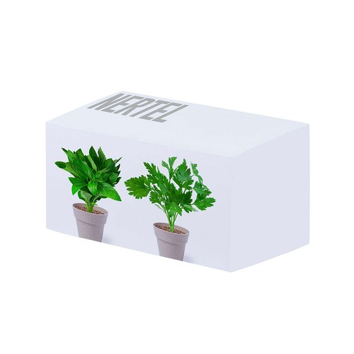 Flowerpot Set Nertel Flowerpot Set Nertel