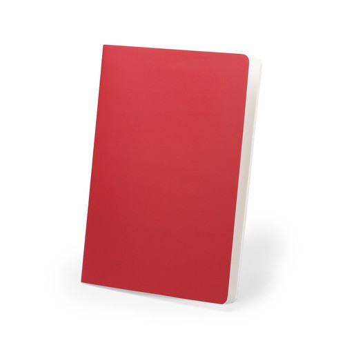 Cahier Dienel - 2