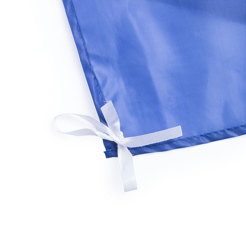 Drapeau Dambor - 7