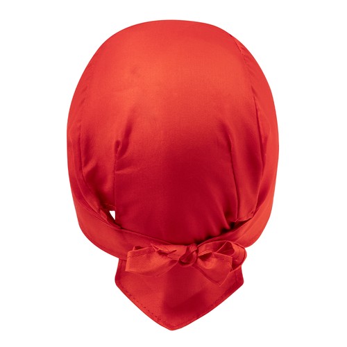 red Bandana Garfy