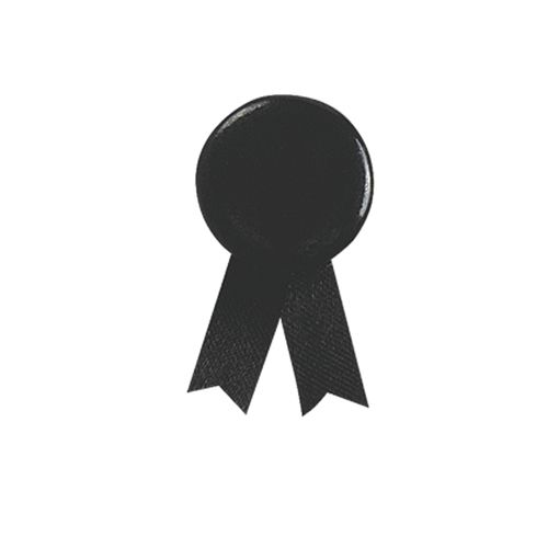 PIN LAZO SOLIDARIO