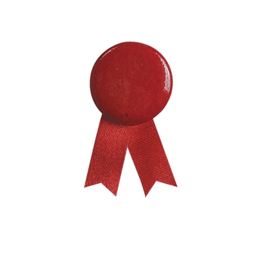 Pin La�o Solidario