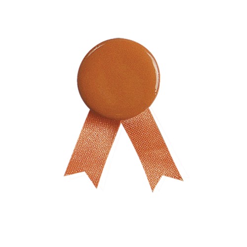 Pin La�o Solidario