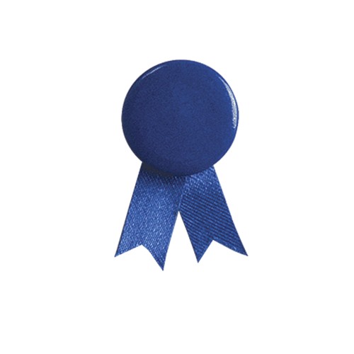 Pin La�o Solidario