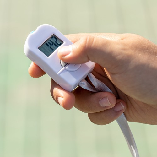 white Contador Dolim