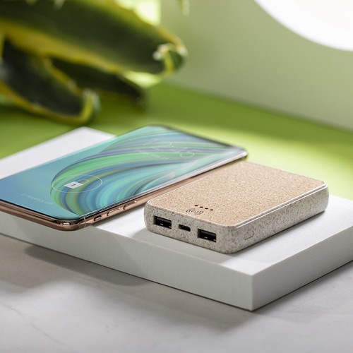 s/c Power Bank Merak