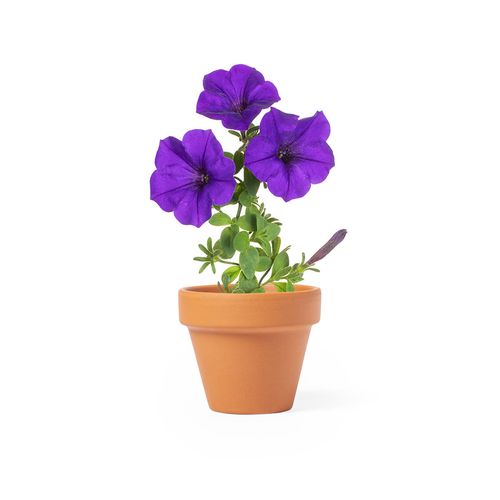 Pot de Fleurs Soltax - 3