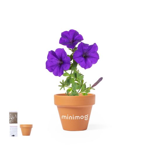 Pot de Fleurs Soltax - 2