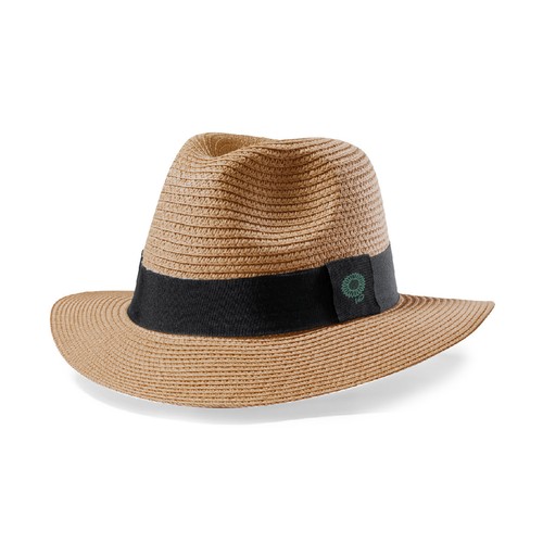 Chapeau Teilor - 5