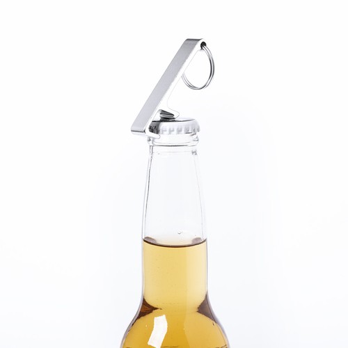 plateado Llavero Multifunción Delfis